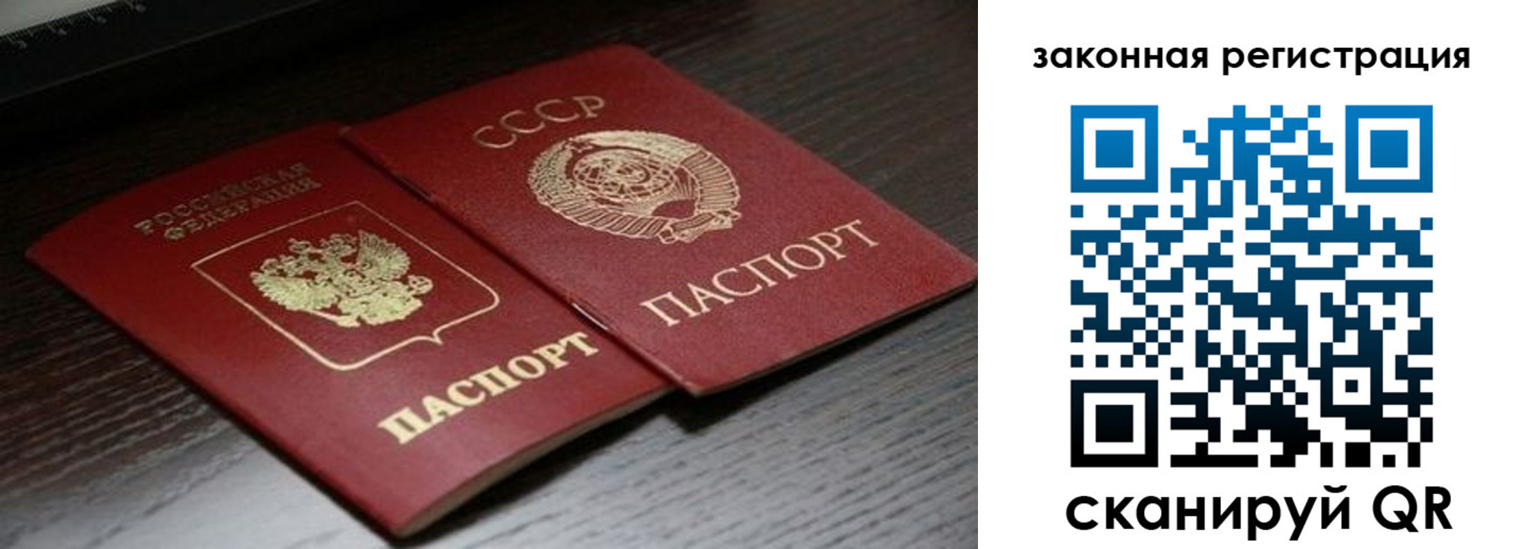 прописка поиск в Краснознаменске